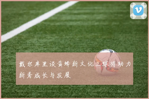 戴尔库里谈黄蜂新文化三球将助力新秀成长与发展