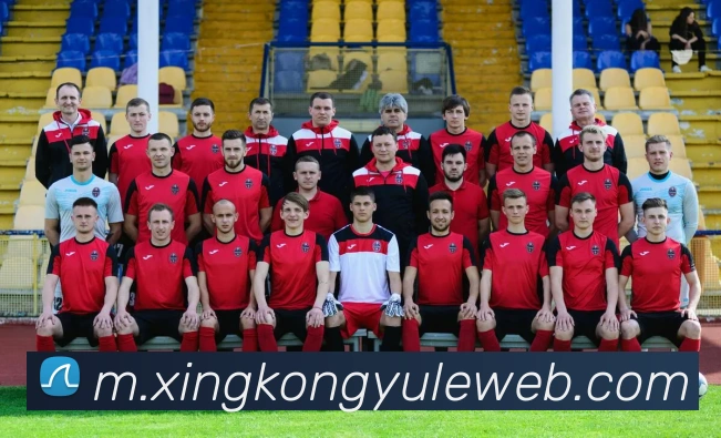 星空娱乐平台生态图