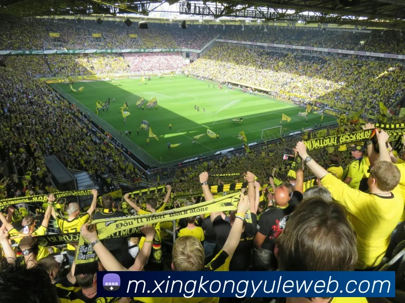 数据防护可视化