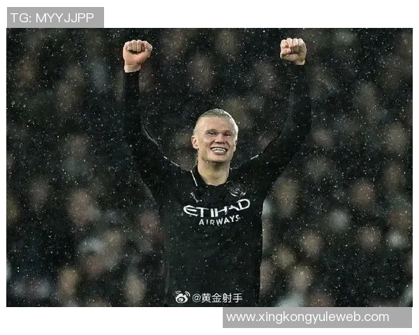 哈兰德五大联赛射门效率惊人每四次射门便能进一球